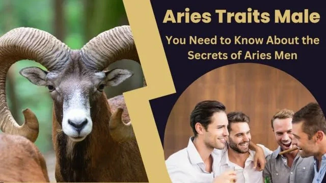 Aries Traits Male: Unveiling the Secrets of Aries Male Personality ...